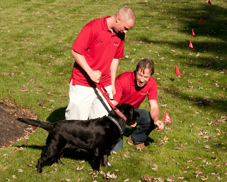 Pet-Fence Dog Collar Batteries Compatible with Invisible Fence