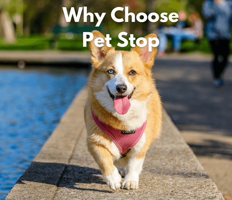 why choose Pet Stop